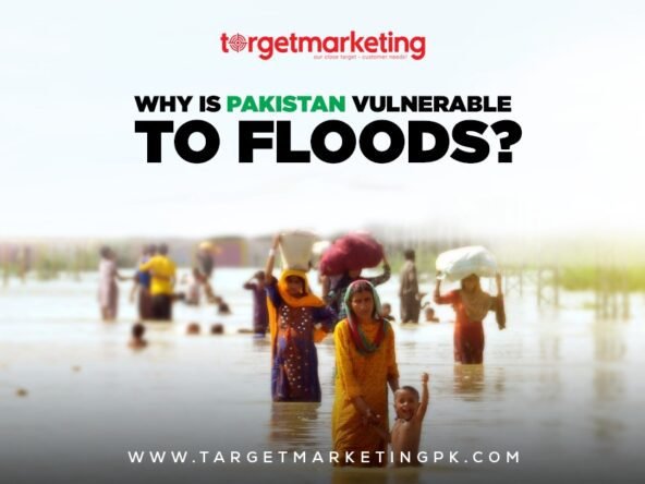 Floods in pakistan 2022 one third pakistan is under water | climate change